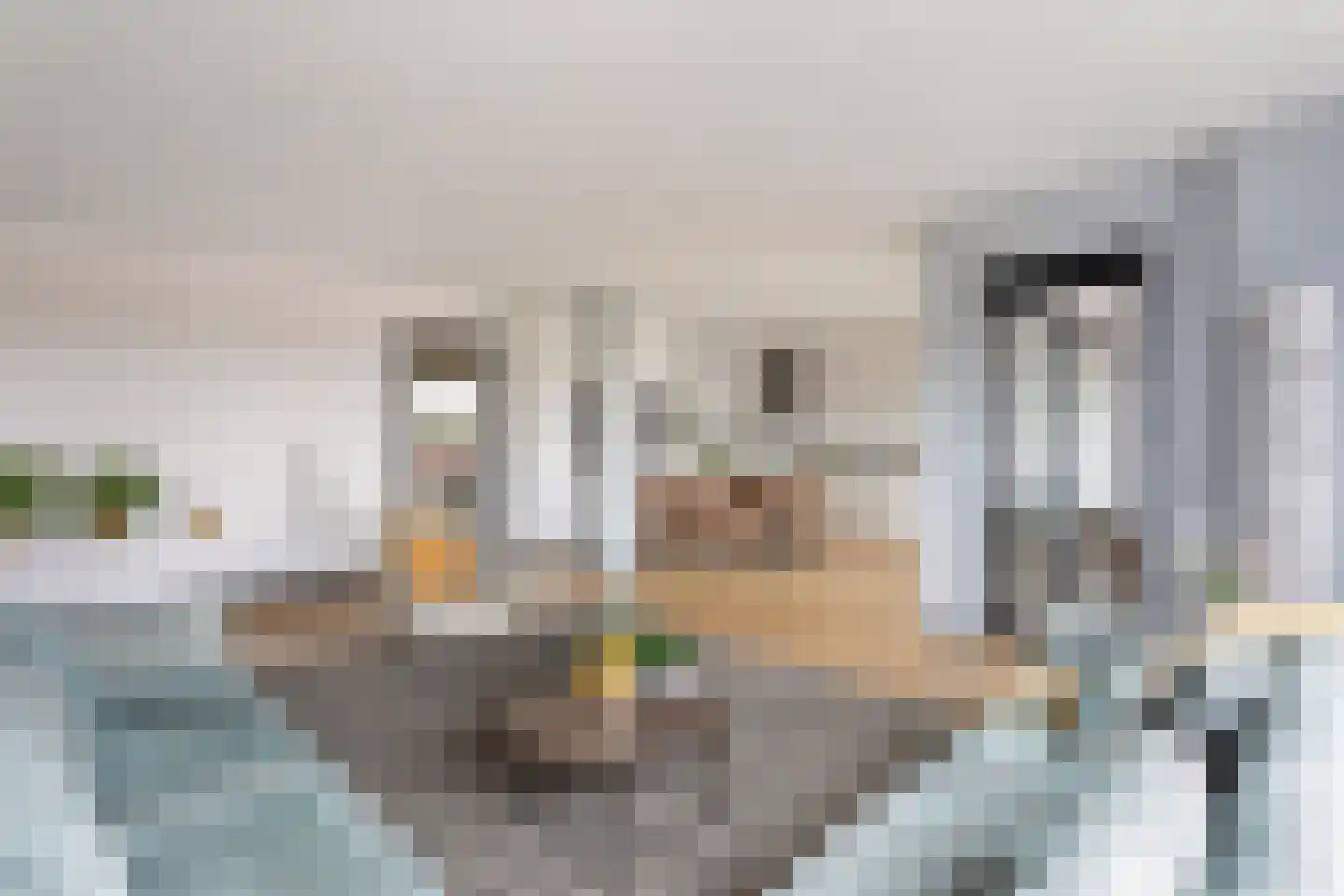 Steenbakkersweg 51 Hengelo thumbnail 10