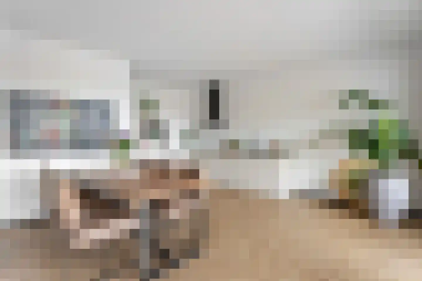 Steenbakkersweg 51 Hengelo thumbnail 11