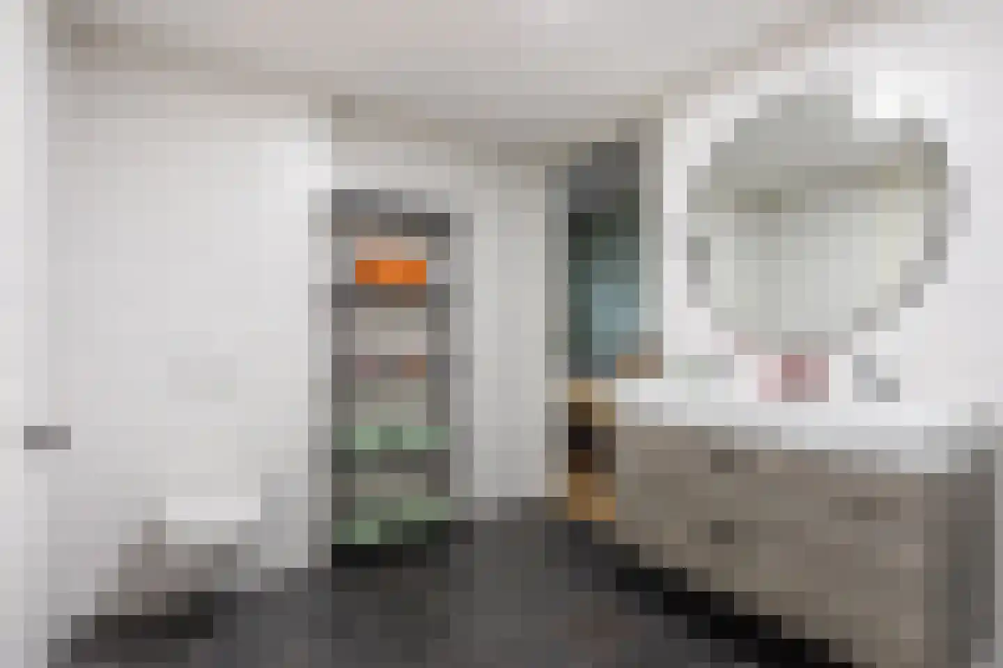 Steenbakkersweg 51 Hengelo thumbnail 14