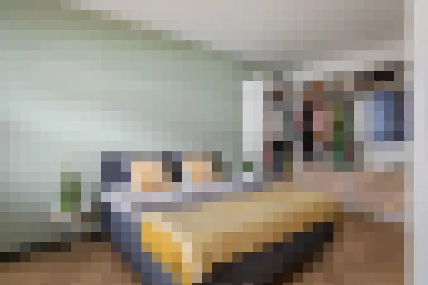 Steenbakkersweg 51 Hengelo thumbnail 16