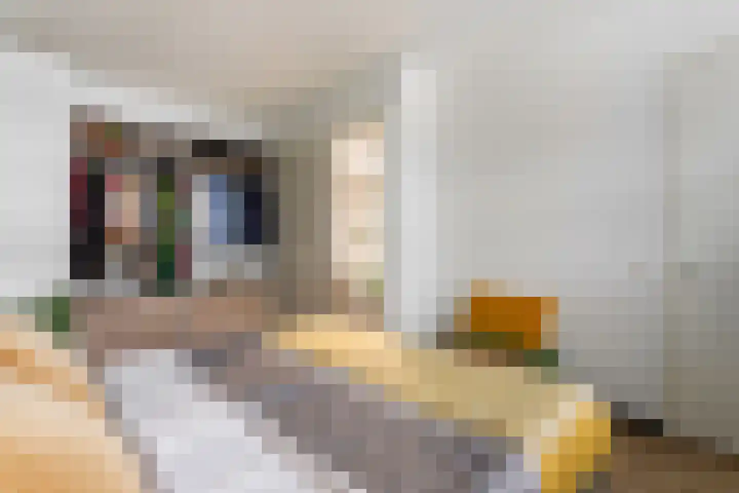 Steenbakkersweg 51 Hengelo thumbnail 17