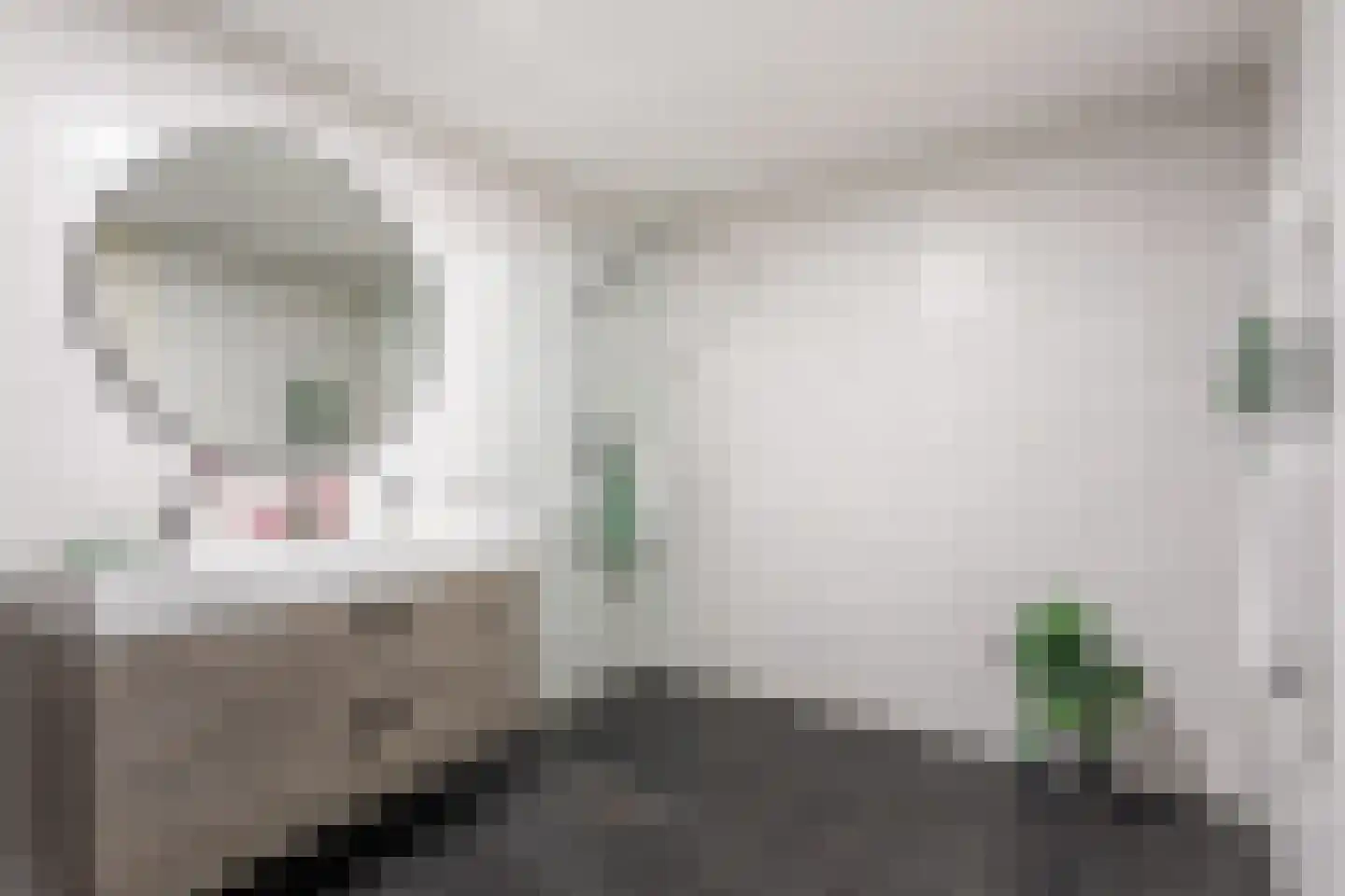 Steenbakkersweg 51 Hengelo thumbnail 5