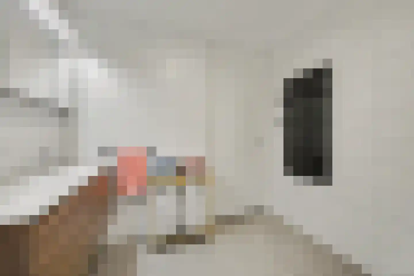 Steenbakkersweg 61 Hengelo thumbnail 19