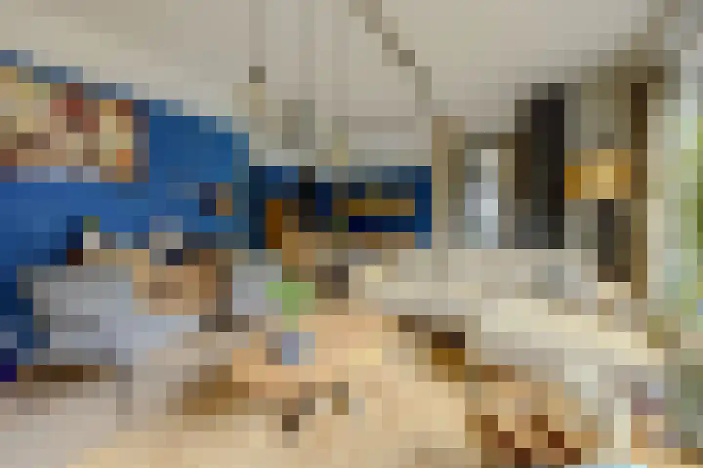 Steenbakkersweg 61 Hengelo thumbnail 7