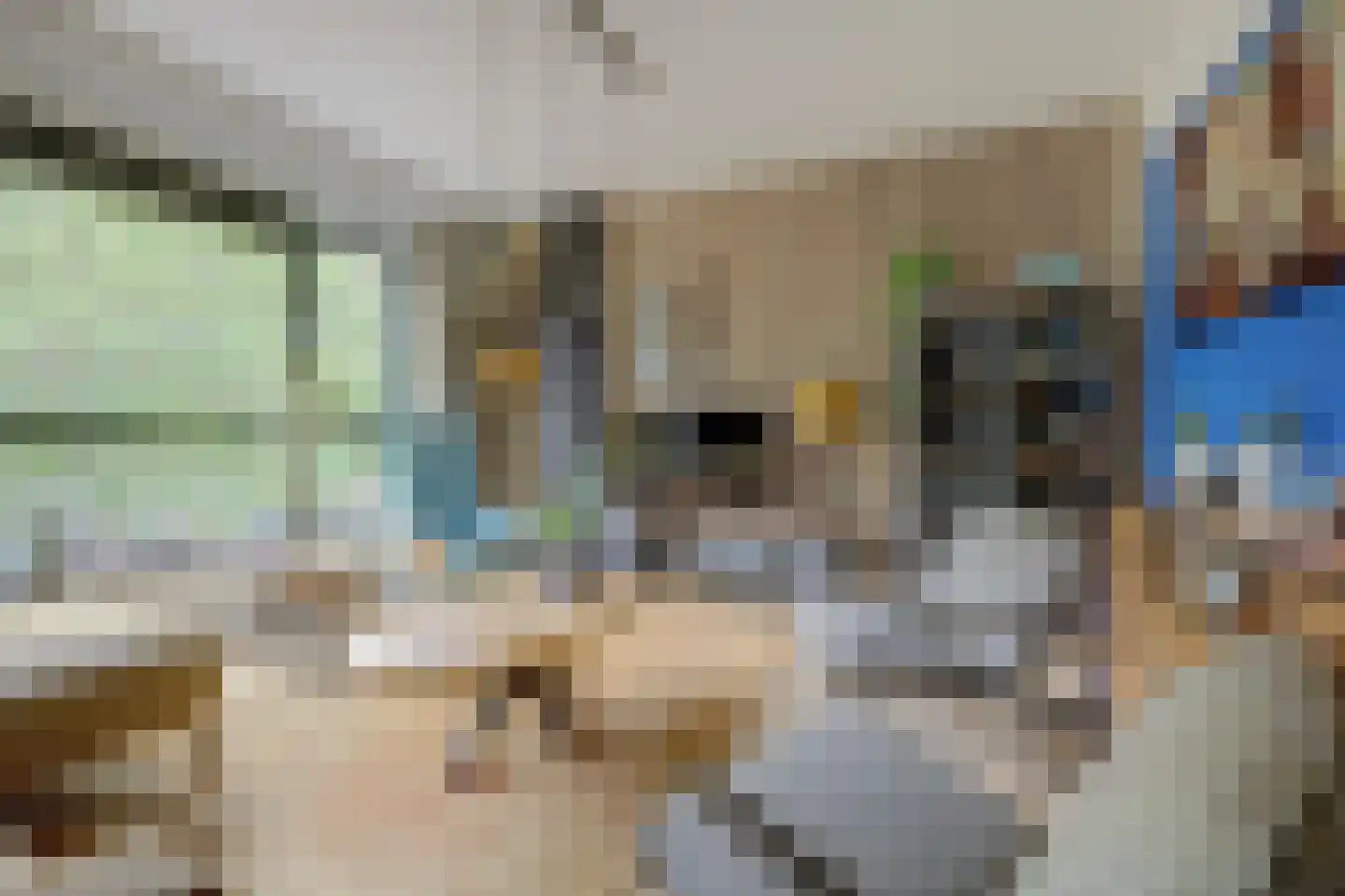 Steenbakkersweg 61 Hengelo thumbnail 8