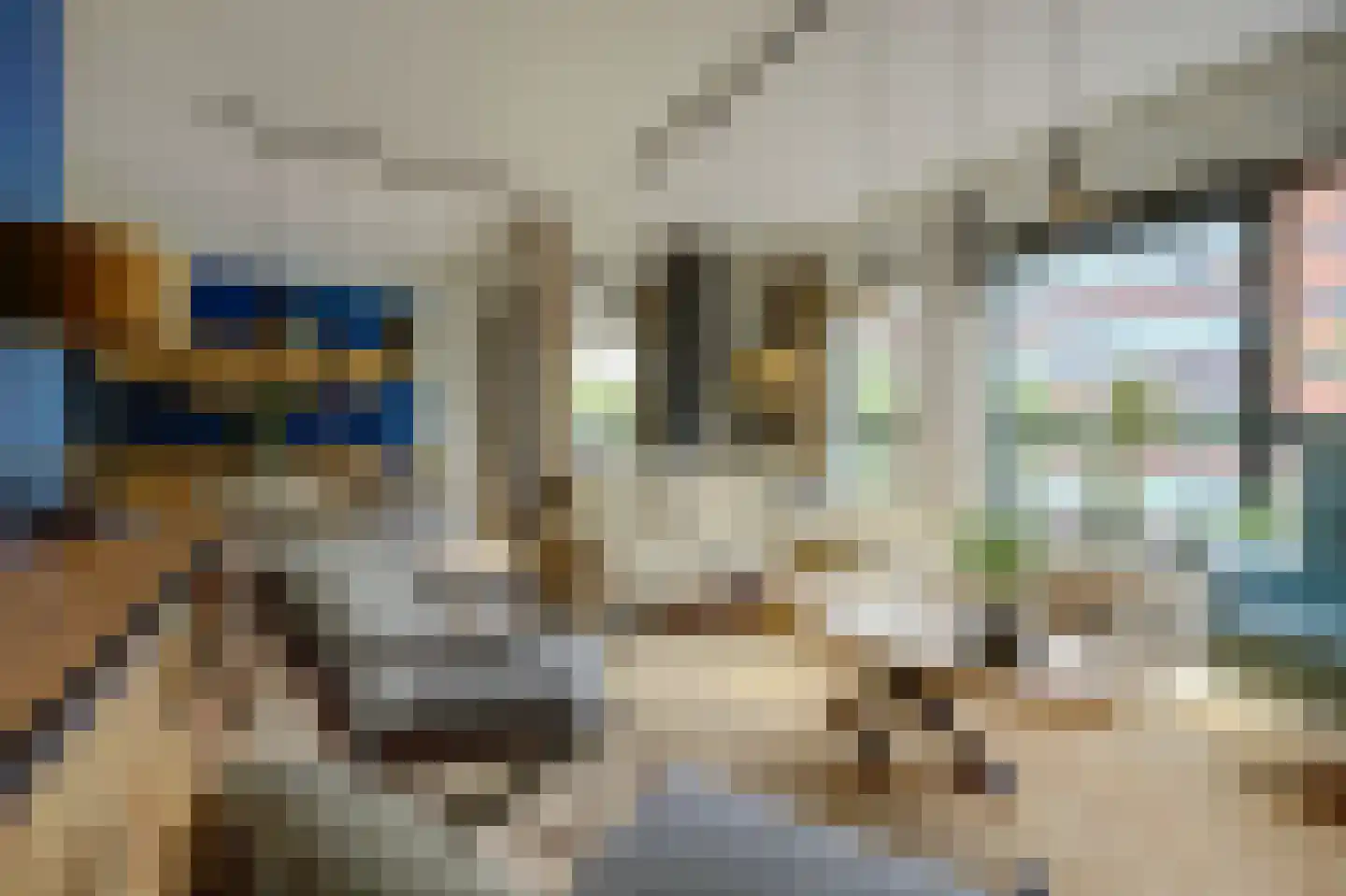Steenbakkersweg 61 Hengelo thumbnail 9
