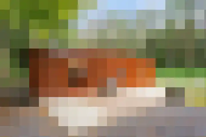 Steenbakkersweg 7 322 Erm thumbnail 14