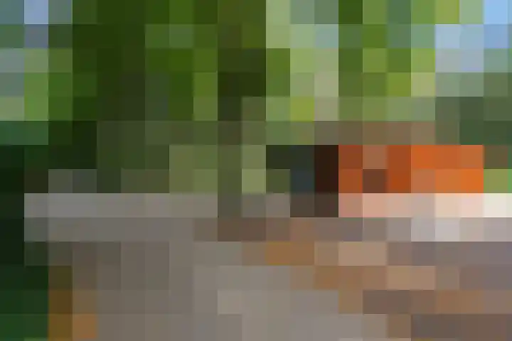 Steenbakkersweg 7 322 Erm foto 3