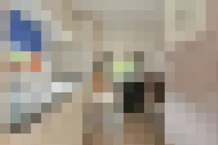 Steenbakkersweg 7 322 Erm thumbnail 7