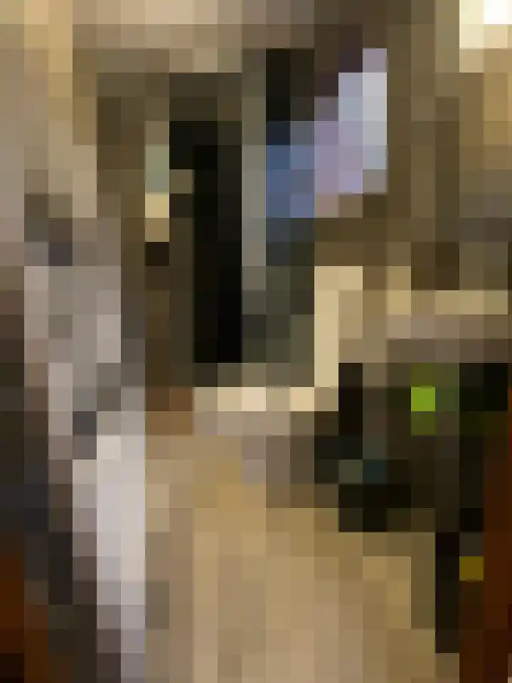 Steenbakkersweg 7 322 Erm thumbnail 8