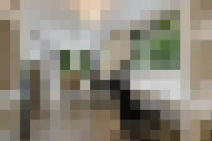Steenbakkersweg 7 324 Erm thumbnail 16
