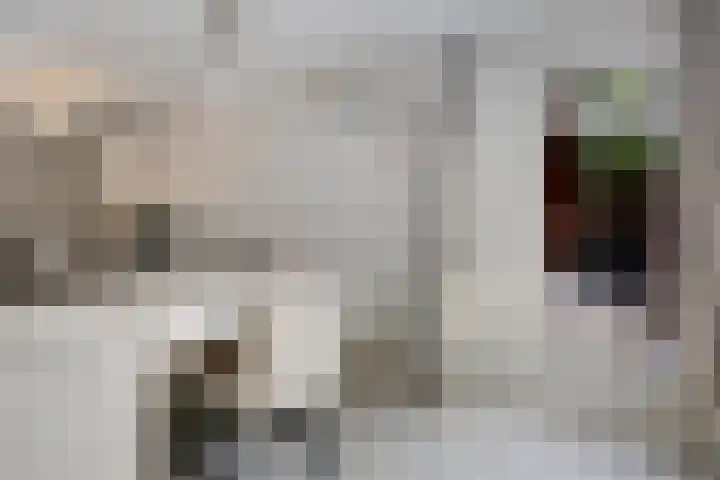Steenbakkersweg 7 324 Erm thumbnail 17