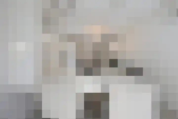 Steenbakkersweg 7 324 Erm thumbnail 18