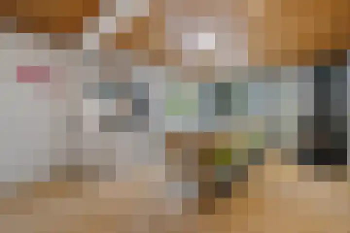 Steenbakkersweg 7 324 Erm thumbnail 22