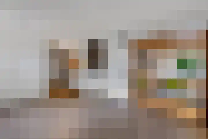 Steenbakkersweg 7 324 Erm thumbnail 25