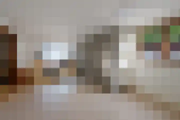 Steenbakkersweg 7 324 Erm thumbnail 27