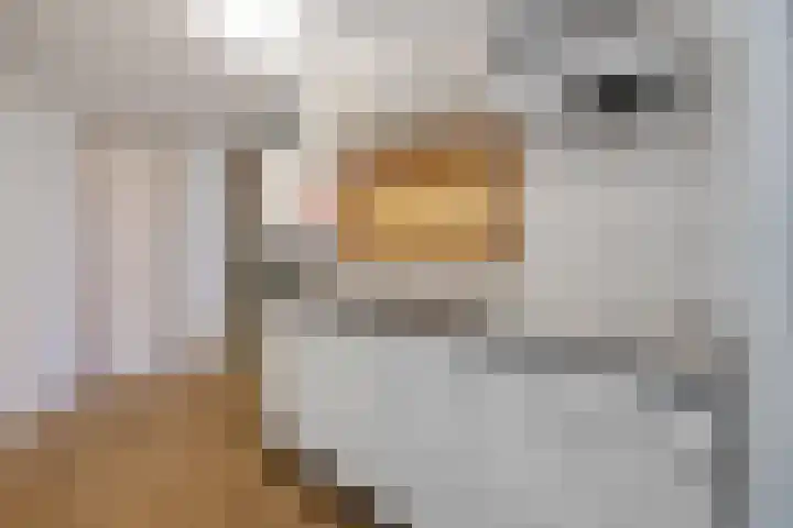 Steenbakkersweg 7 324 Erm thumbnail 28