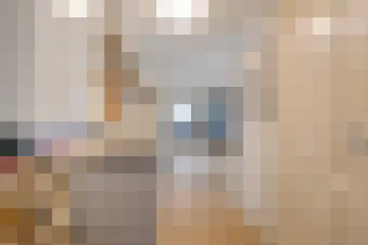 Steenbakkersweg 7 324 Erm thumbnail 29