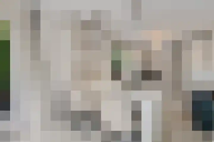 Steenbakkersweg 7 324 Erm foto 3