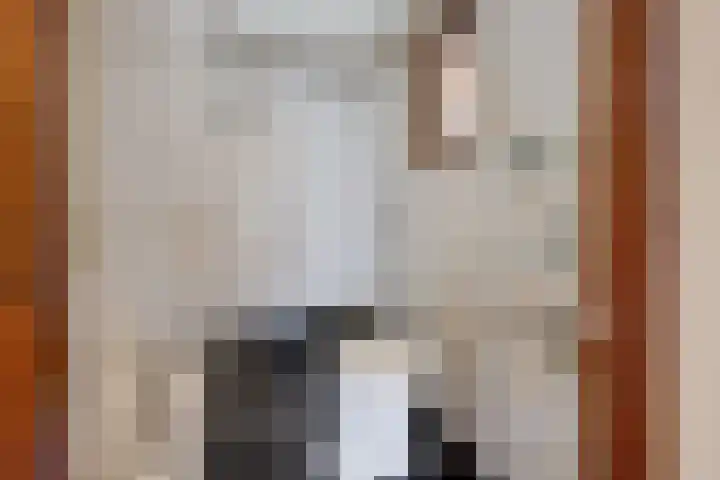 Steenbakkersweg 7 324 Erm thumbnail 30