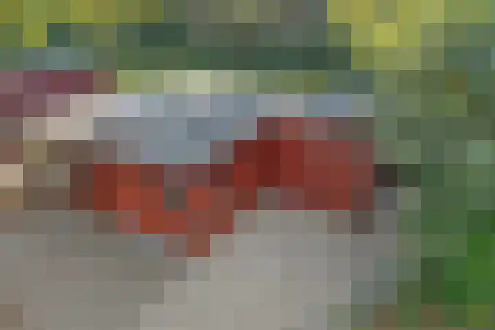 Steenbakkersweg 7 324 Erm thumbnail 34