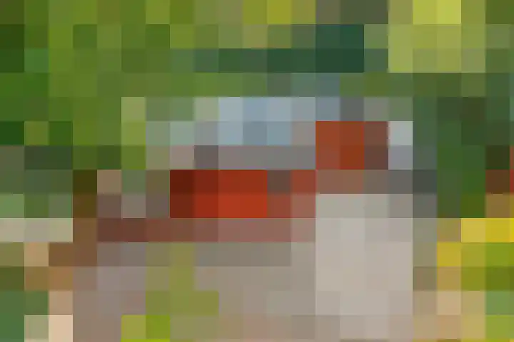 Steenbakkersweg 7 324 Erm thumbnail 35