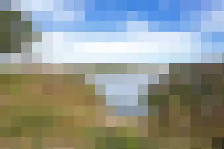 Steenbakkersweg 7 324 Erm thumbnail 4