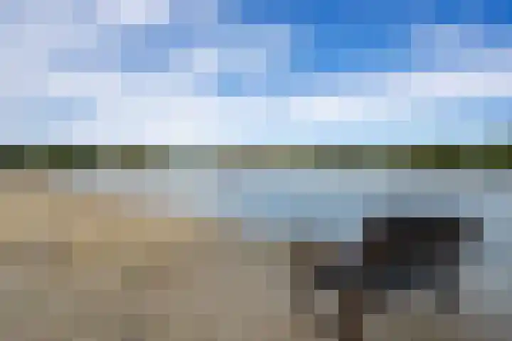 Steenbakkersweg 7 324 Erm thumbnail 5