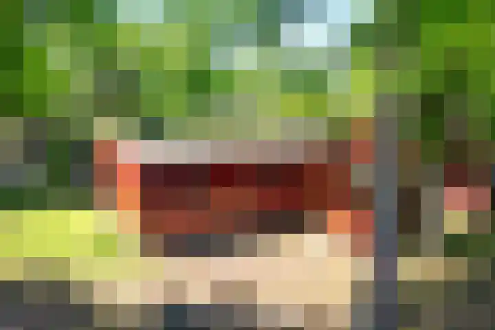 Steenbakkersweg 7 334 Erm
