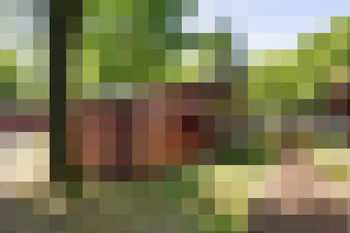 Steenbakkersweg 7 334 Erm thumbnail 11