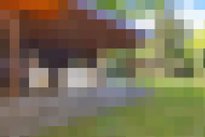 Steenbakkersweg 7 334 Erm thumbnail 15