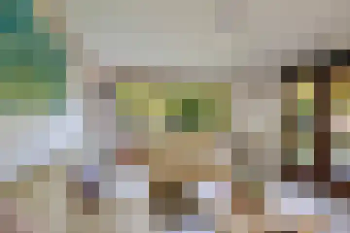 Steenbakkersweg 7 334 Erm thumbnail 19