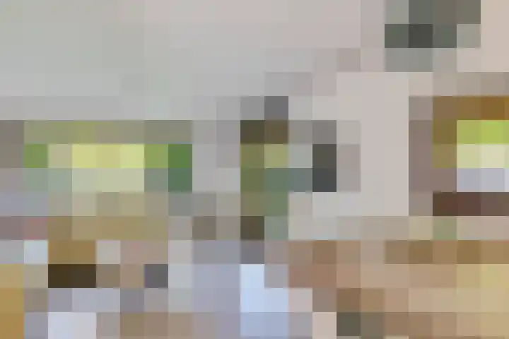 Steenbakkersweg 7 334 Erm thumbnail 21