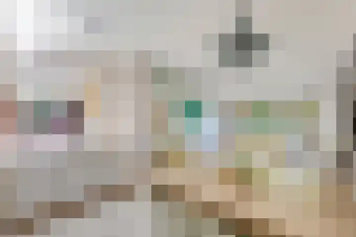 Steenbakkersweg 7 334 Erm thumbnail 22