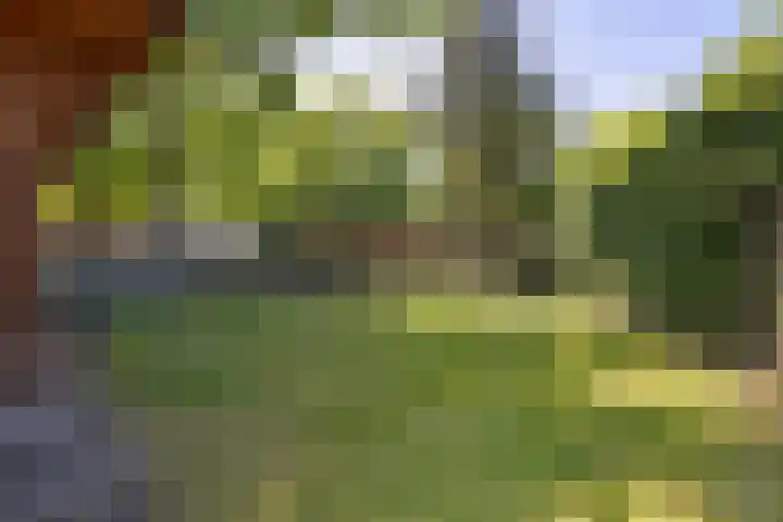 Steenbakkersweg 7 334 Erm thumbnail 34