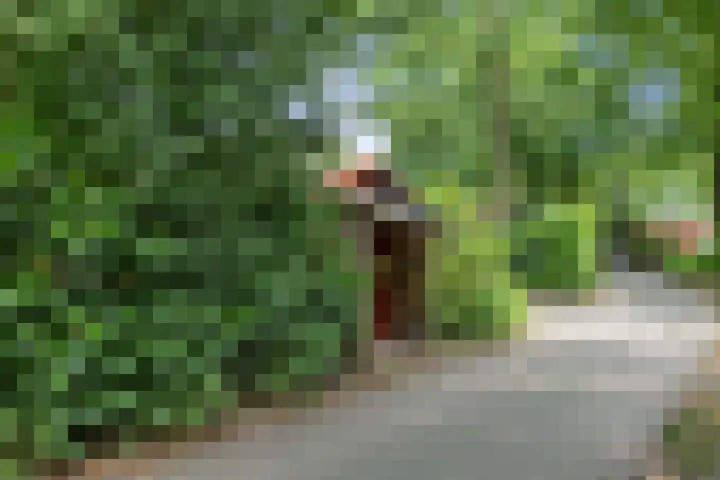 Steenbakkersweg 7 350 Erm thumbnail 20