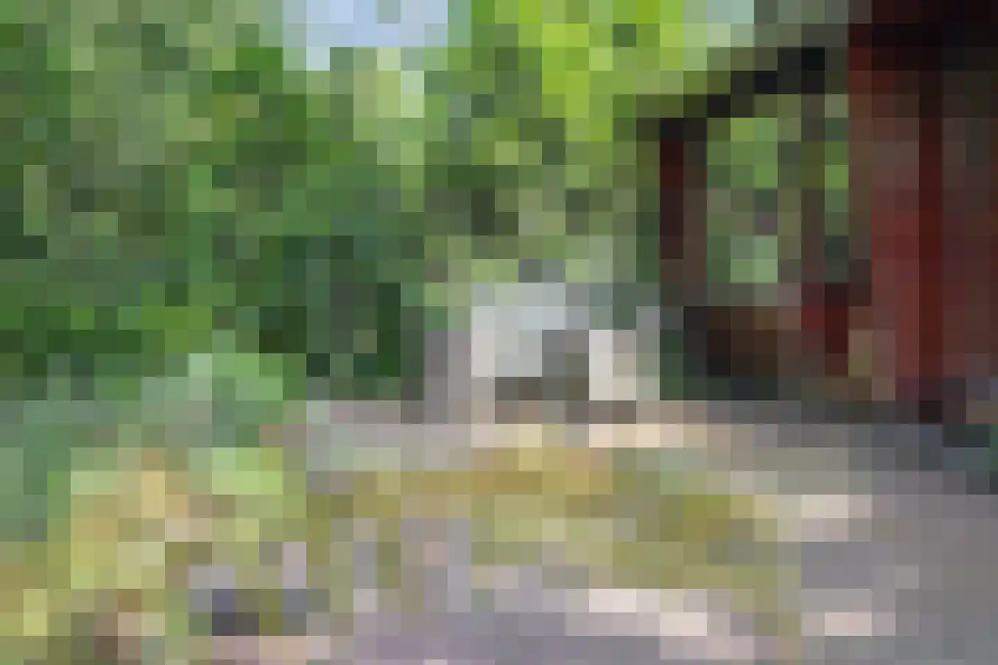 Steenbakkersweg 7 350 Erm thumbnail 22