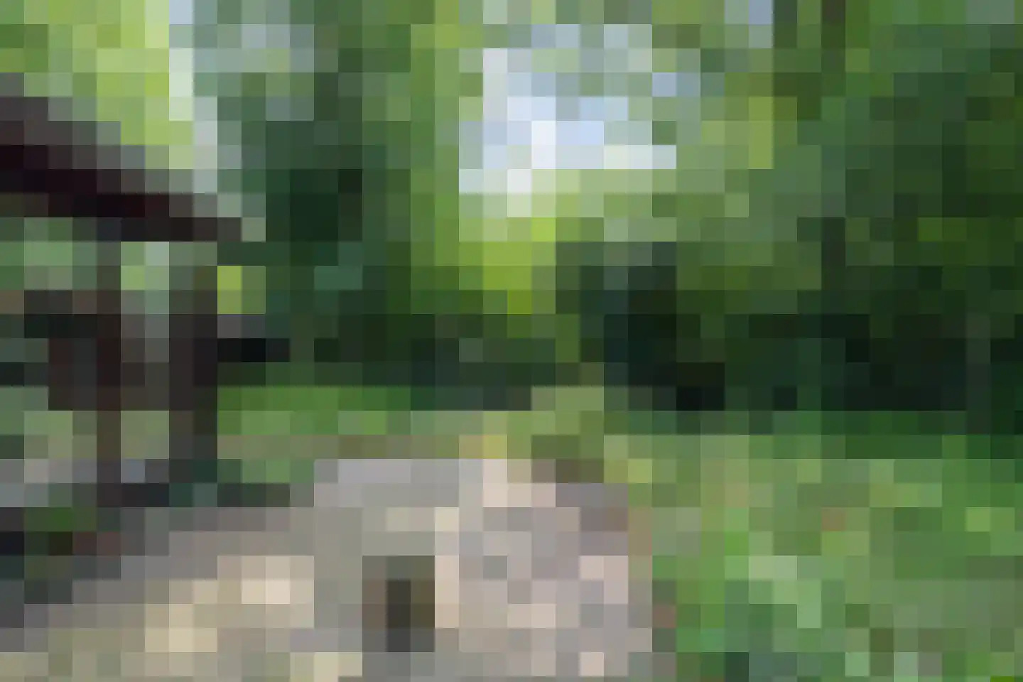 Steenbakkersweg 7 350 Erm thumbnail 23