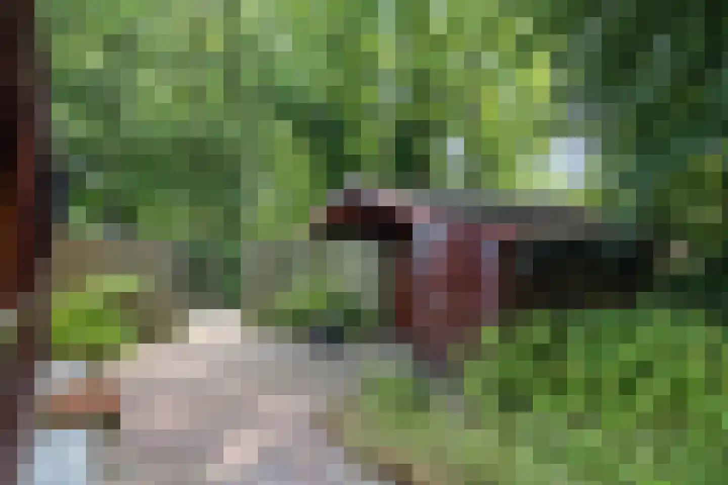 Steenbakkersweg 7 350 Erm thumbnail 24