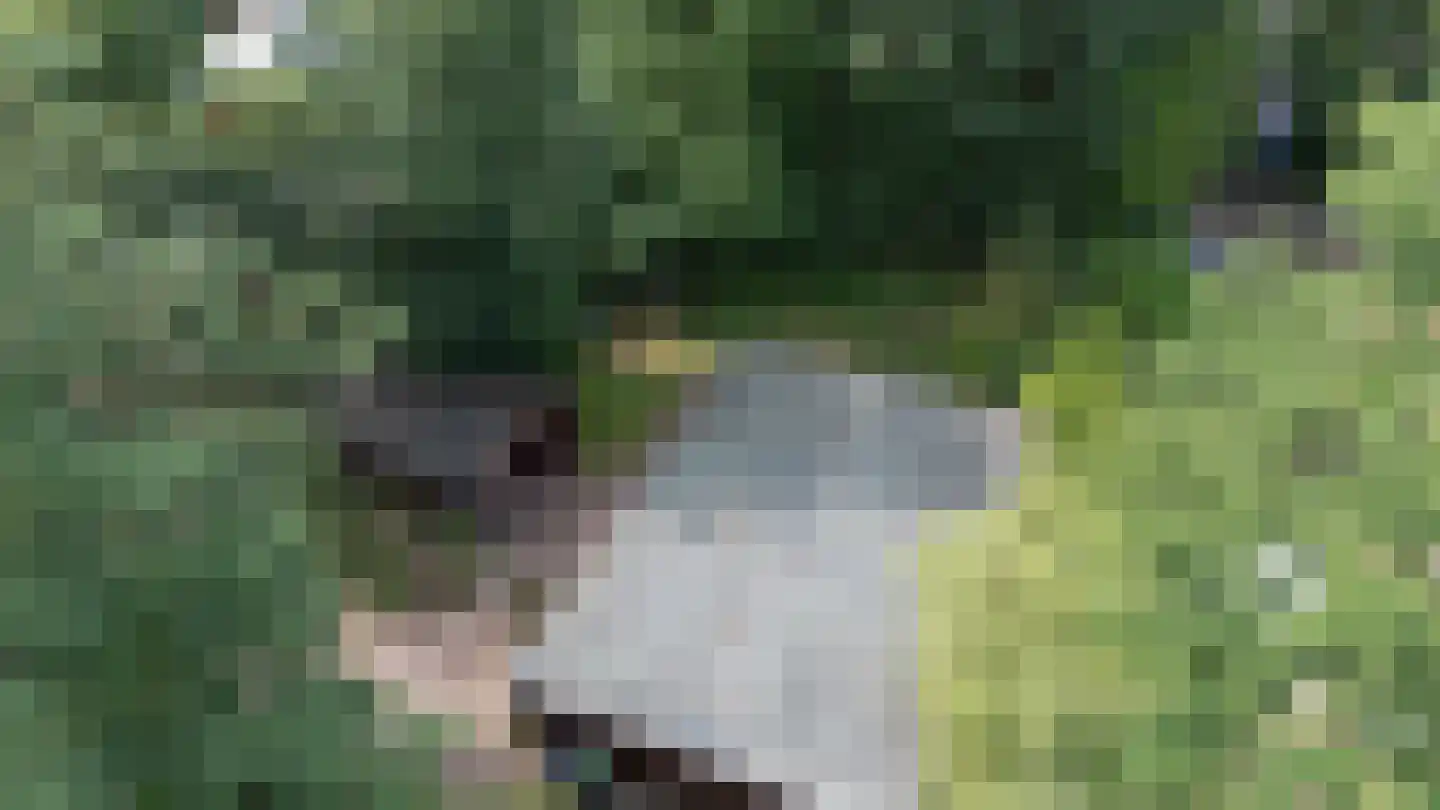 Steenbakkersweg 7 350 Erm thumbnail 27