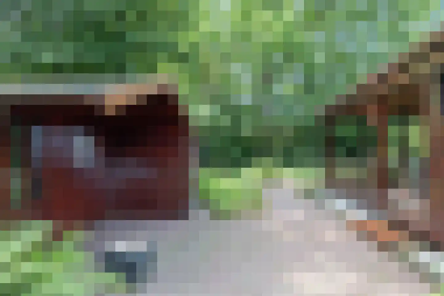 Steenbakkersweg 7 350 Erm foto 3