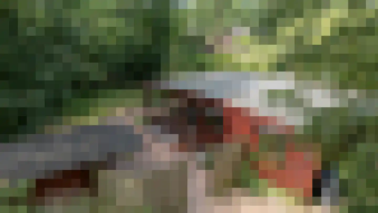 Steenbakkersweg 7 350 Erm thumbnail 4