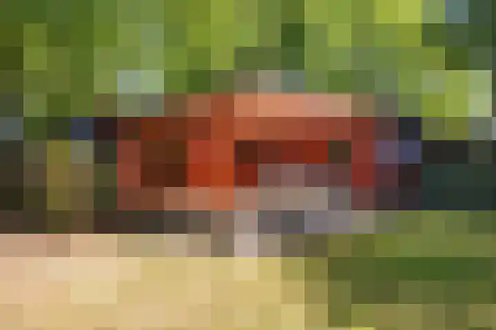 Steenbakkersweg 7 354 Erm thumbnail 10