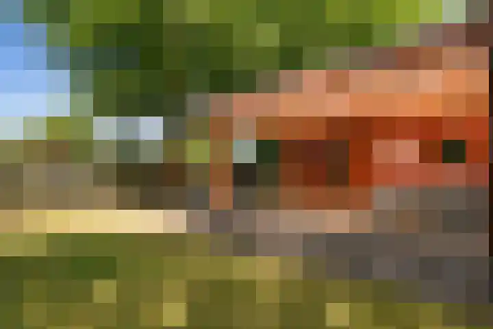 Steenbakkersweg 7 354 Erm thumbnail 11