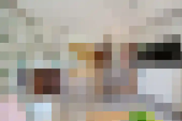 Steenbakkersweg 7 354 Erm thumbnail 15
