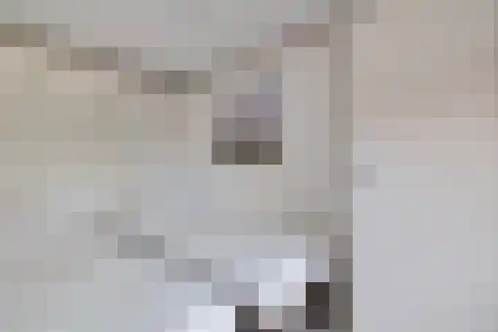 Steenbakkersweg 7 354 Erm thumbnail 26