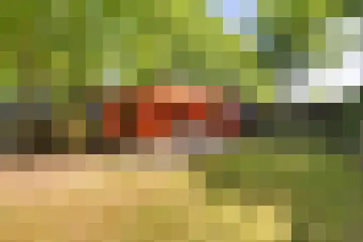 Steenbakkersweg 7 354 Erm thumbnail 32