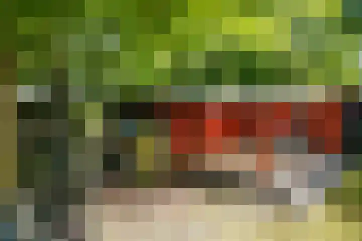 Steenbakkersweg 7 354 Erm thumbnail 33