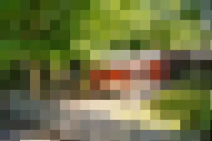 Steenbakkersweg 7 354 Erm thumbnail 34