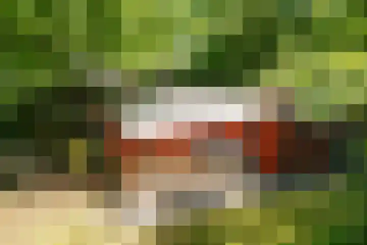 Steenbakkersweg 7 354 Erm thumbnail 35